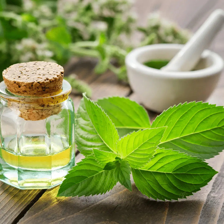 Peppermint essential oil for skin scalp and foot care benefits and safety