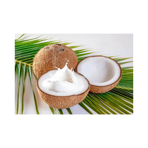 Coconut milk for dry skin and plant-based body moisturizer benefits