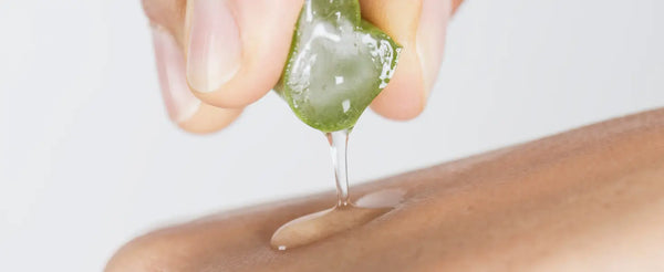 Fresh aloe vera leaves and gel for skin hydration and natural skincare