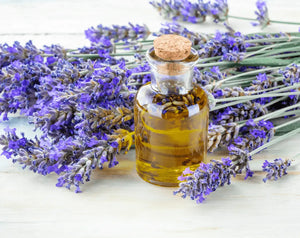Lavender essential oil for skin hair and scalp care benefits and safety