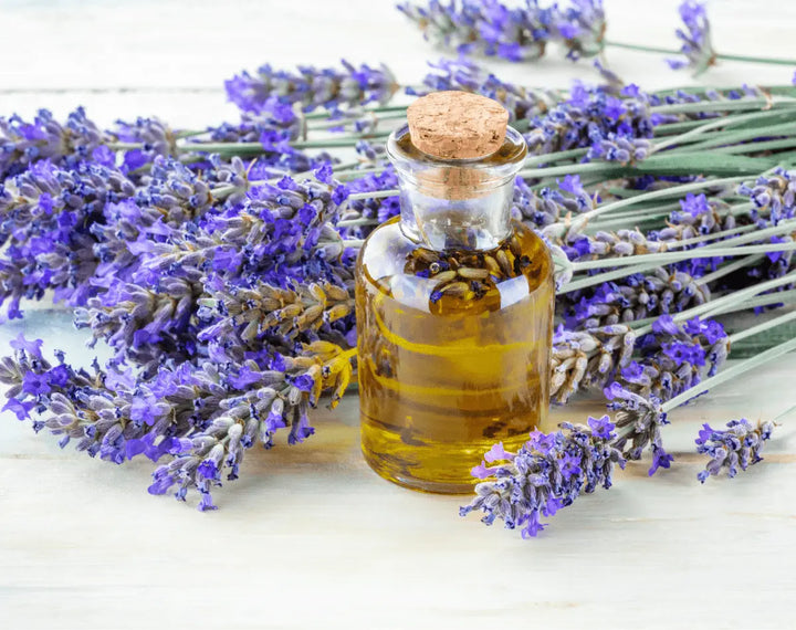 Lavender essential oil for skin hair and scalp care benefits and safety