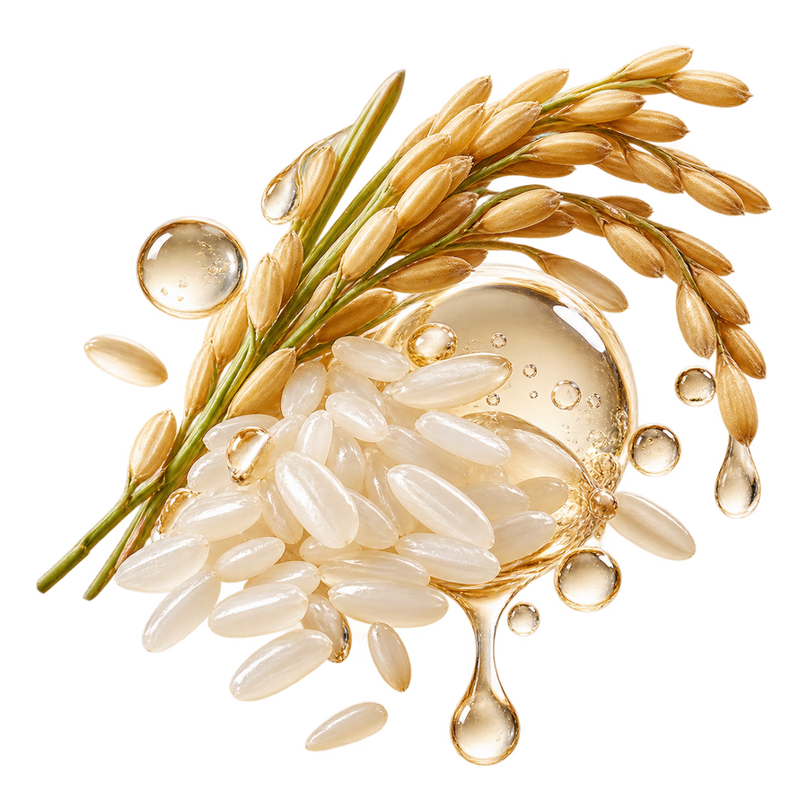 Rice Ceramides