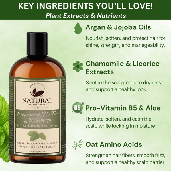 Peppermint Rosemary & Tea Tree Hair Growth Shampoo Natural Sulfate Free Formula