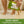 Peppermint and tea tree foot soak being poured into foot bath for tired feet and foot odor relief - Natural Escapes Body