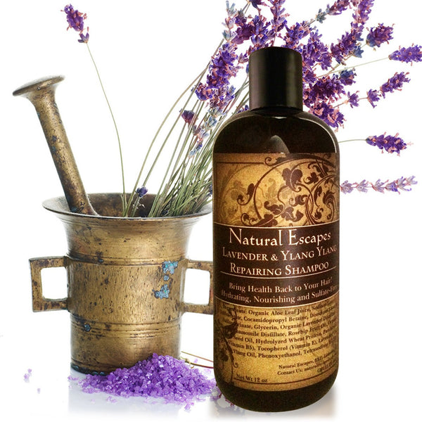 Lavender & Ylang Ylang Repairing Shampoo | Sulfate-Free Shampoo for Dry Hair Color-Treated