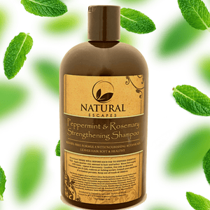 Peppermint & Rosemary Strengthening Shampoo | Organic Shampoo for Hair Growth Dry Hair &